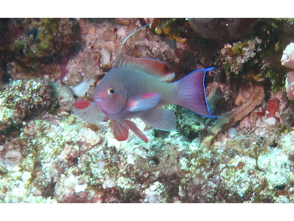 IMG_6508 - Version 2 IMG_6508 - Version 2